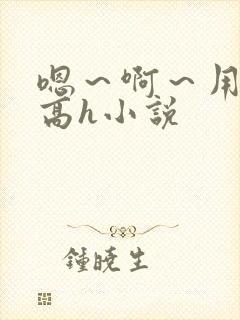 嗯～啊～用力～高h小说封面