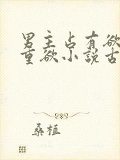 男主占有欲强且重欲小说古言