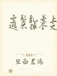 云鬓乱惹上权臣逃不掉全文