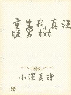 重生我真没想当暖男 txt
