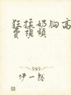 狂揉奶胸高潮免费视频