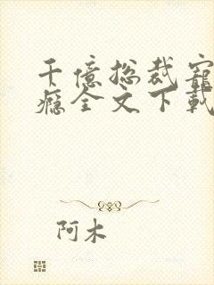 千亿总裁宠妻上瘾全文下载封面