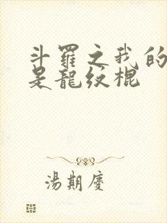 斗罗之我的武魂是龙纹棍