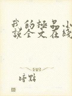 我的极品小姨小说全文在线阅读