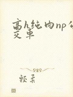 高h纯肉np公交车