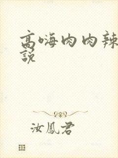 高嗨肉肉辣文小说