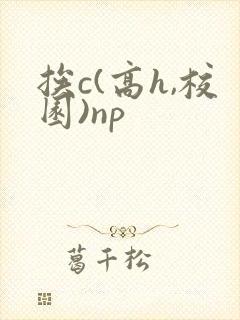 挨c(高h,校园)np