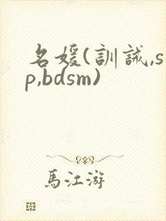 名媛(训诫,sp,bdsm)封面