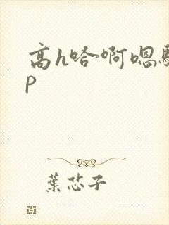 高h哈啊嗯骚np