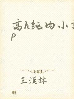 高h纯肉小说np