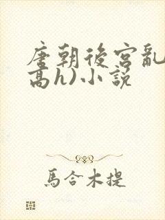 唐朝后宫乱淫(高h)小说