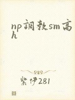 np调教sm高h