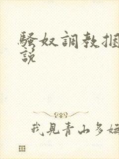 骚奴调教捆绑小说