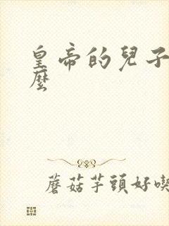 皇帝的儿子叫什么