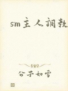 sm主人调教文封面