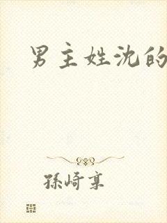 男主姓沈的小说