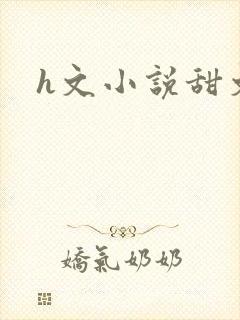 h文小说甜文封面