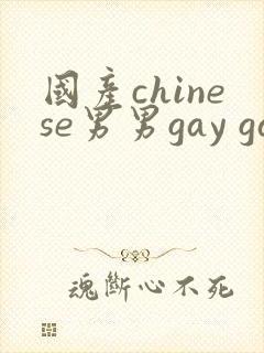国产chinese男男gay gay视频网站