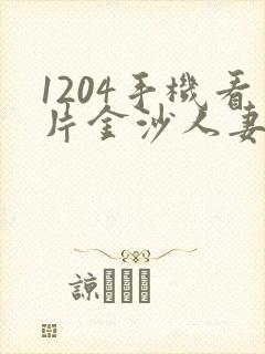1204手机看片金沙人妻国产封面