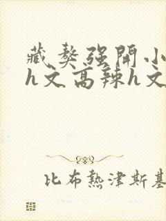 藏獒强开小嫩苞h文高辣h文封面