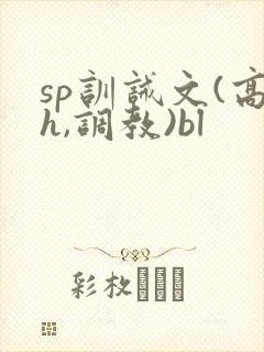 sp训诫文(高h,调教)bl