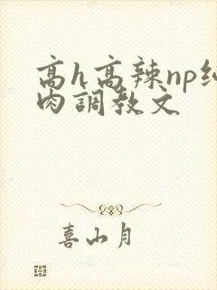 高h高辣np纯肉调教文