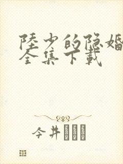 陆少的隐婚罪妻全集下载封面