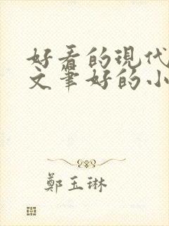 好看的现代言情文笔好的小说