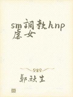 sm调教hnp虐女