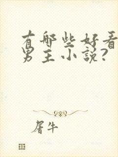 有哪些好看的双男主小说?封面