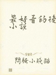 最好看的后宫文小说