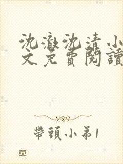 沈澈沈清小说全文免费阅读最新章节