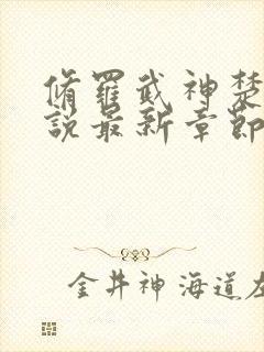 修罗武神楚枫小说最新章节精校版