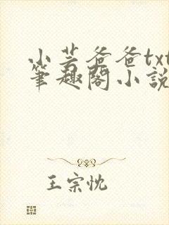 小芸爸爸txt笔趣阁小说短篇封面