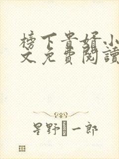 榜下贵婿小说全文免费阅读无弹窗封面