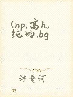 (np,高h,纯肉.bg
