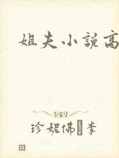 姐夫小说高h