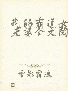 我的霸道女总裁老婆全文阅读封面