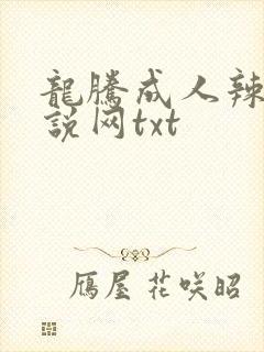 龙腾成人辣文小说网txt