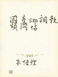 国产sm调教视频网站