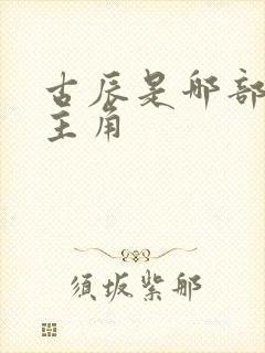 古辰是哪部小说主角