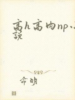 高h高肉np小说