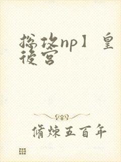 总攻np】皇帝后宫