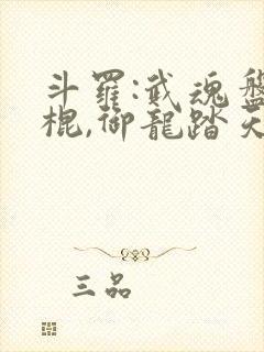 斗罗:武魂盘龙棍,御龙踏天