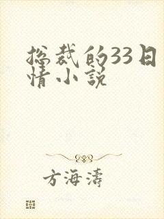 总裁的33日索情小说封面