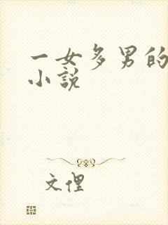 一女多男的高h小说