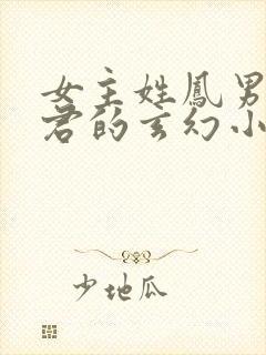 女主姓凤男主姓君的玄幻小说