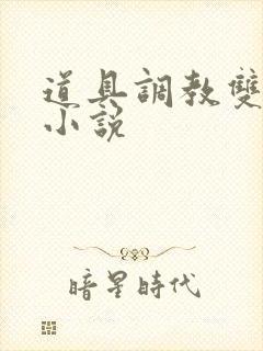 道具调教双男主小说