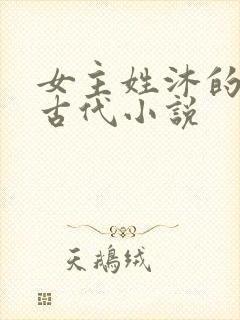 女主姓沐的重生古代小说封面