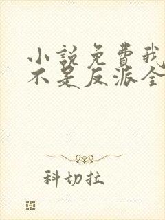 小说免费我真的不是反派全文阅读